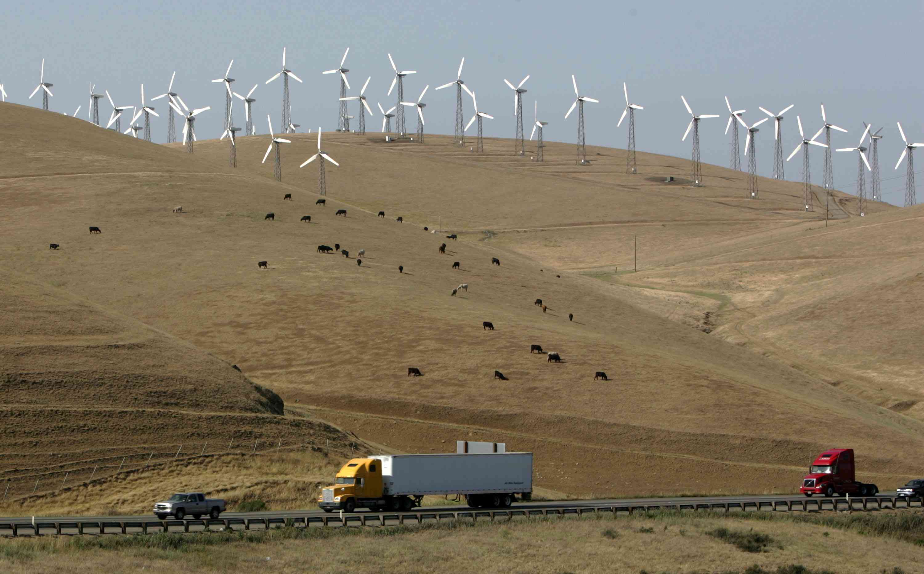 风力涡轮机帮助供应奥克兰的能源需求”width=