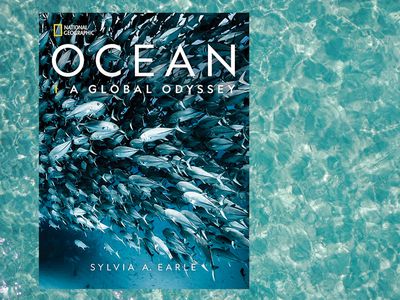 书的封面展示一群鱼在海洋背景说明