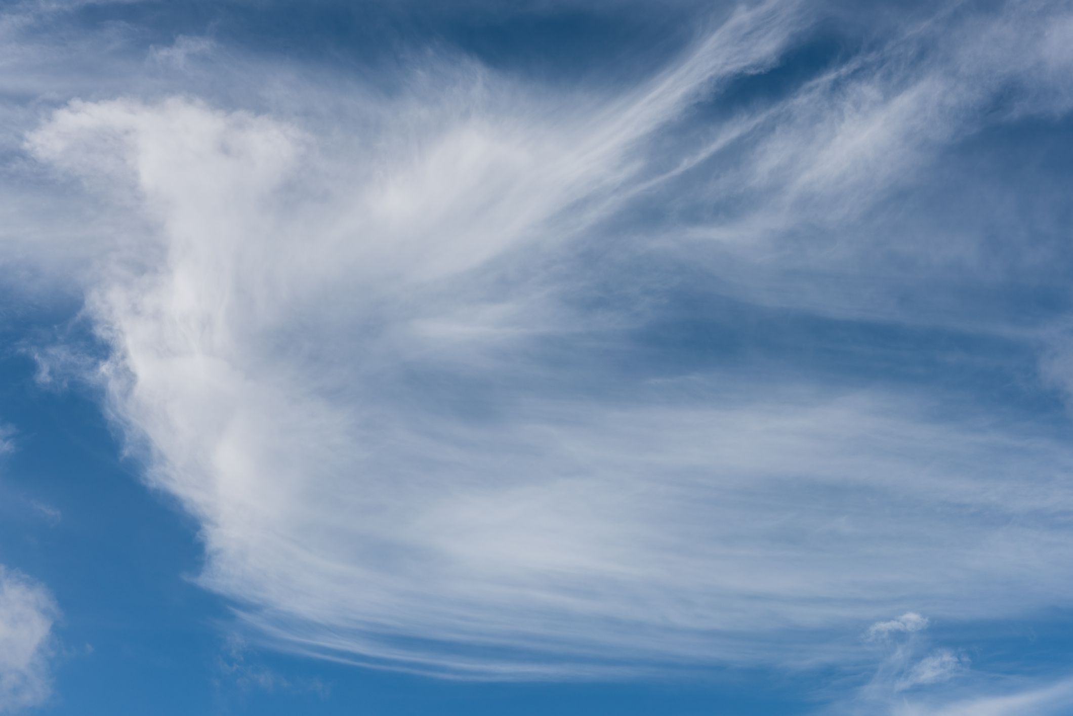 稀薄的，柳里的cirrostratus云彩在蓝天升起。“width=