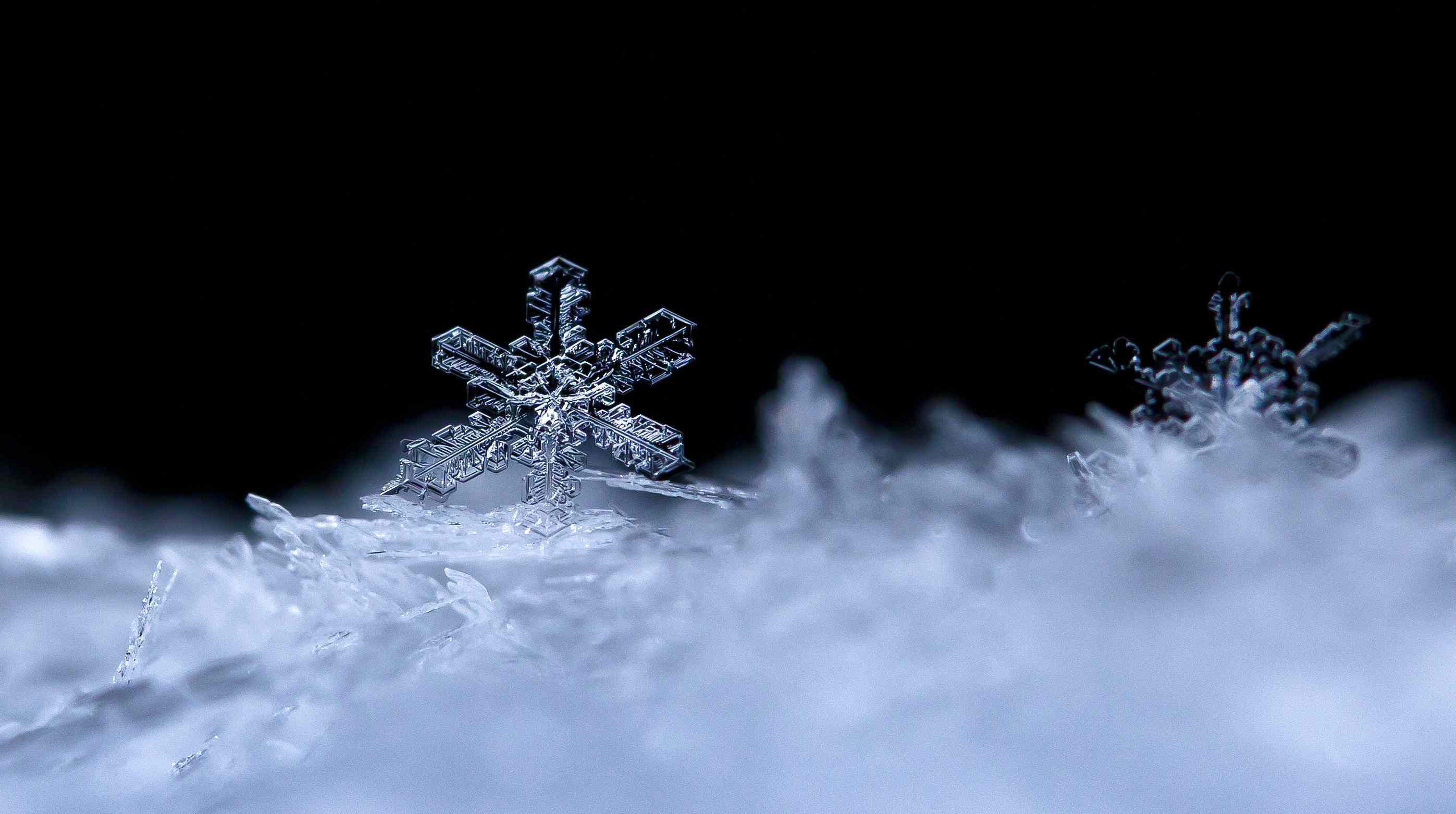 natural snowflakes on snow