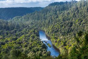 塔斯马尼亚州温带森林包围的亚瑟河
