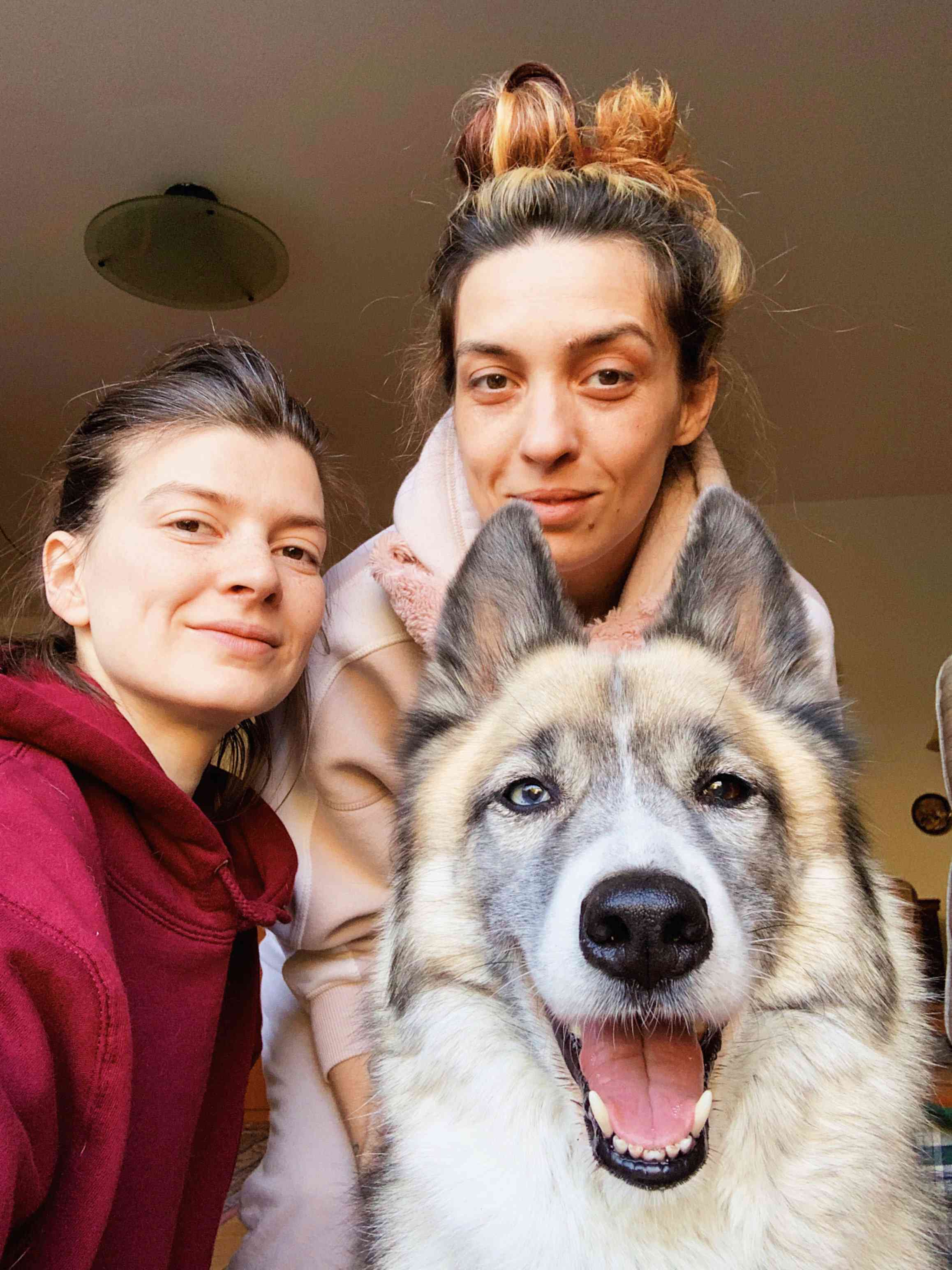 Evgeniya和Olga Drach和狗