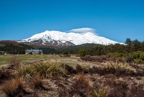 在新西兰北岛汤加里罗国家公园，白色的鲁阿佩胡山，前景是Whakapapa村和汤加里罗城堡，平坦的土地上覆盖着青草、绿色的树木和灌木丛，棕色的地被