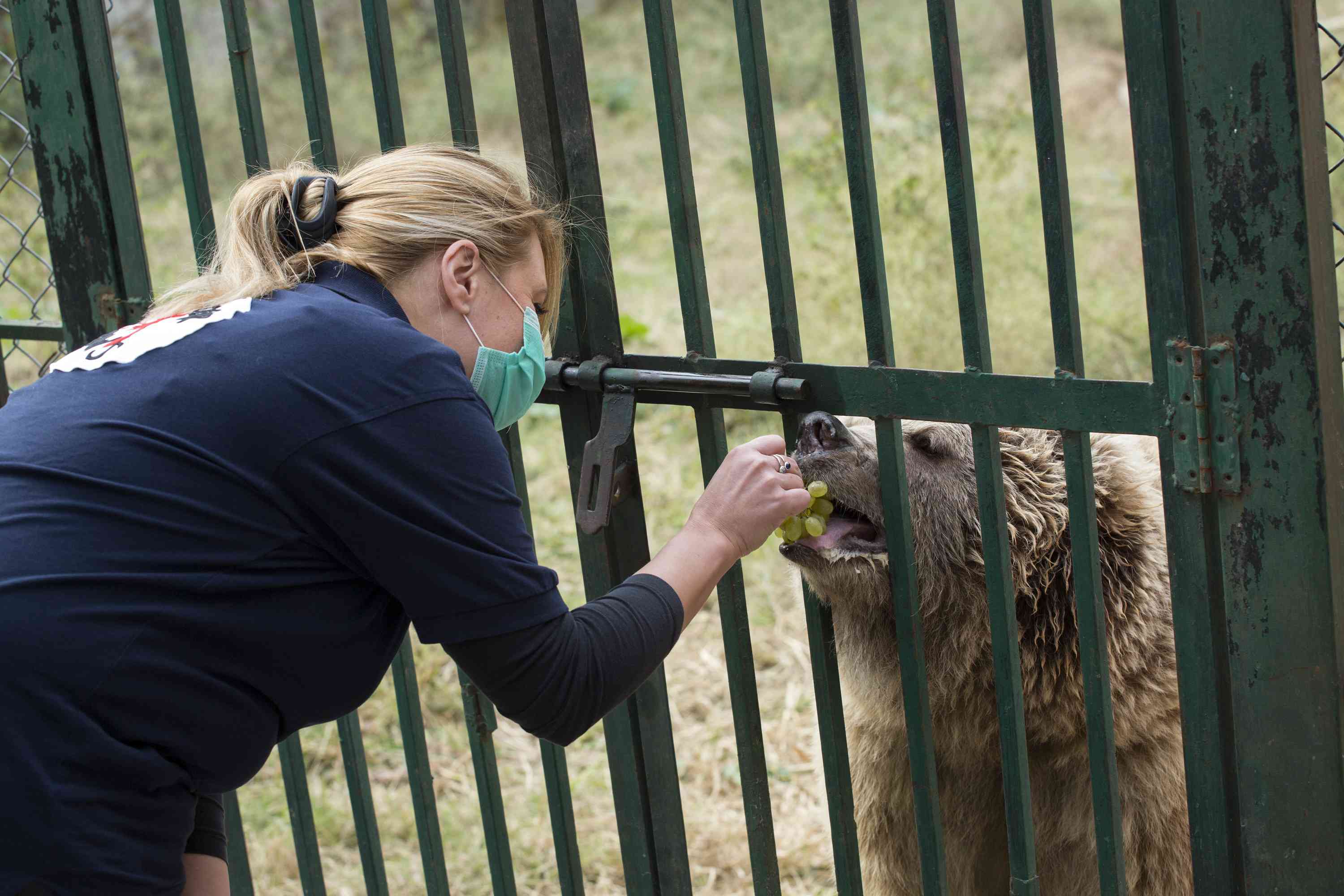 玛格扎尔动物园里，玛丽娜·伊万诺娃医生给苏西喂食。＂width=