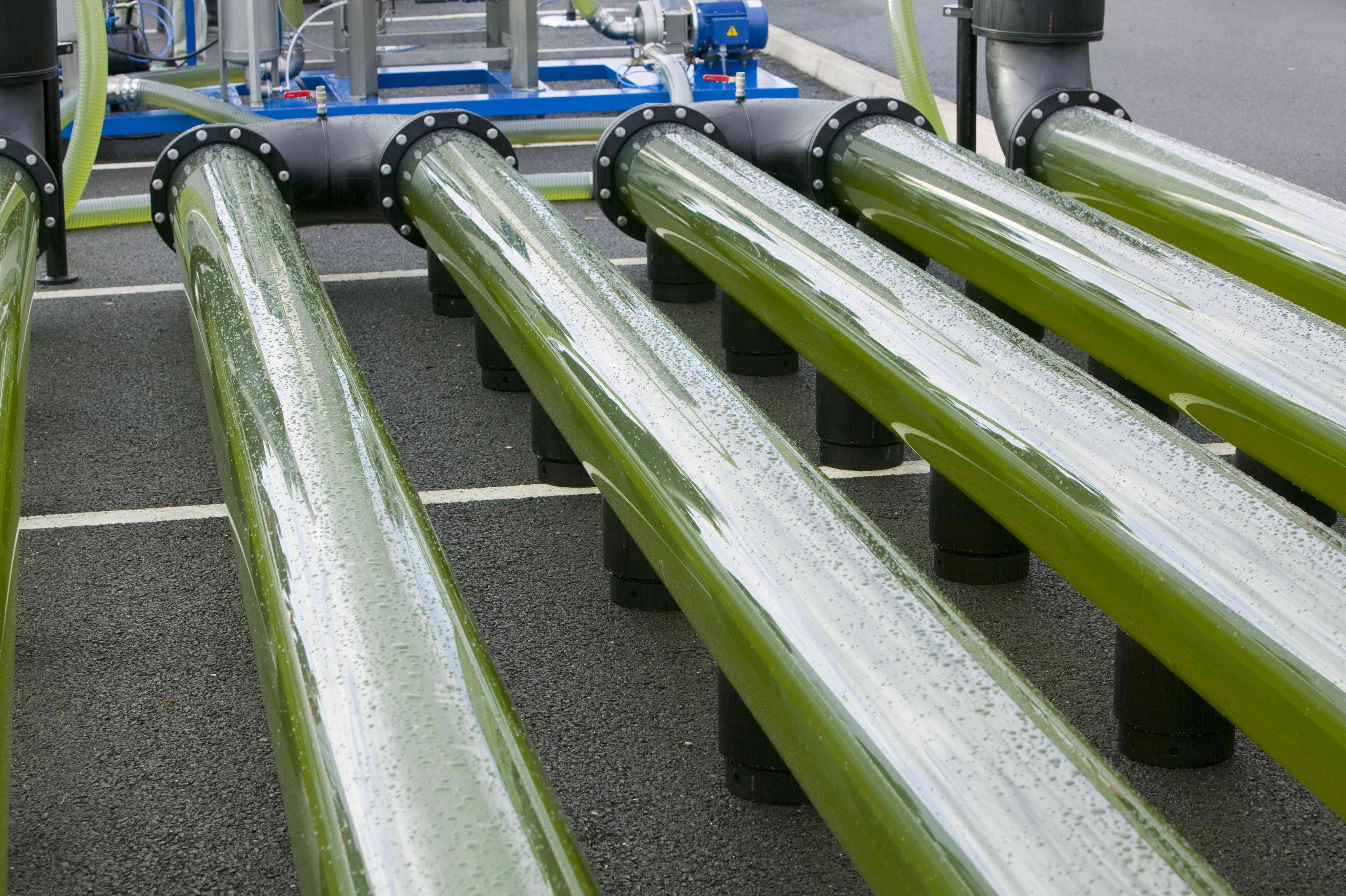 藻类生长系统，收获后可以生产乙醇和生物柴油。用这种方法从藻类中生产石油比种植传统的油料作物(如油菜籽)效率高得多。它也有它没有的好处＂width=