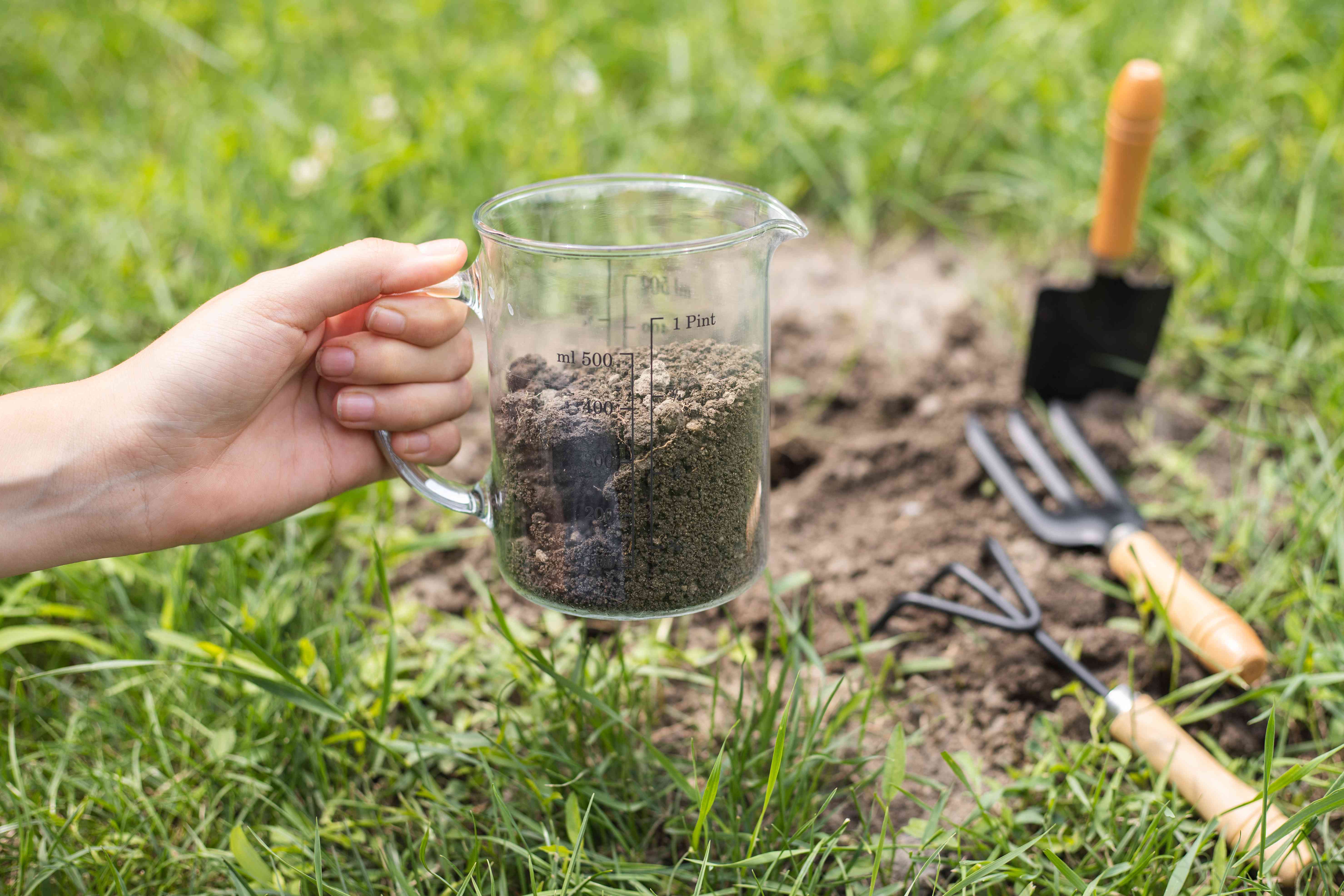 手伸出玻璃量杯，杯中盛着花园里新挖的泥土＂width=