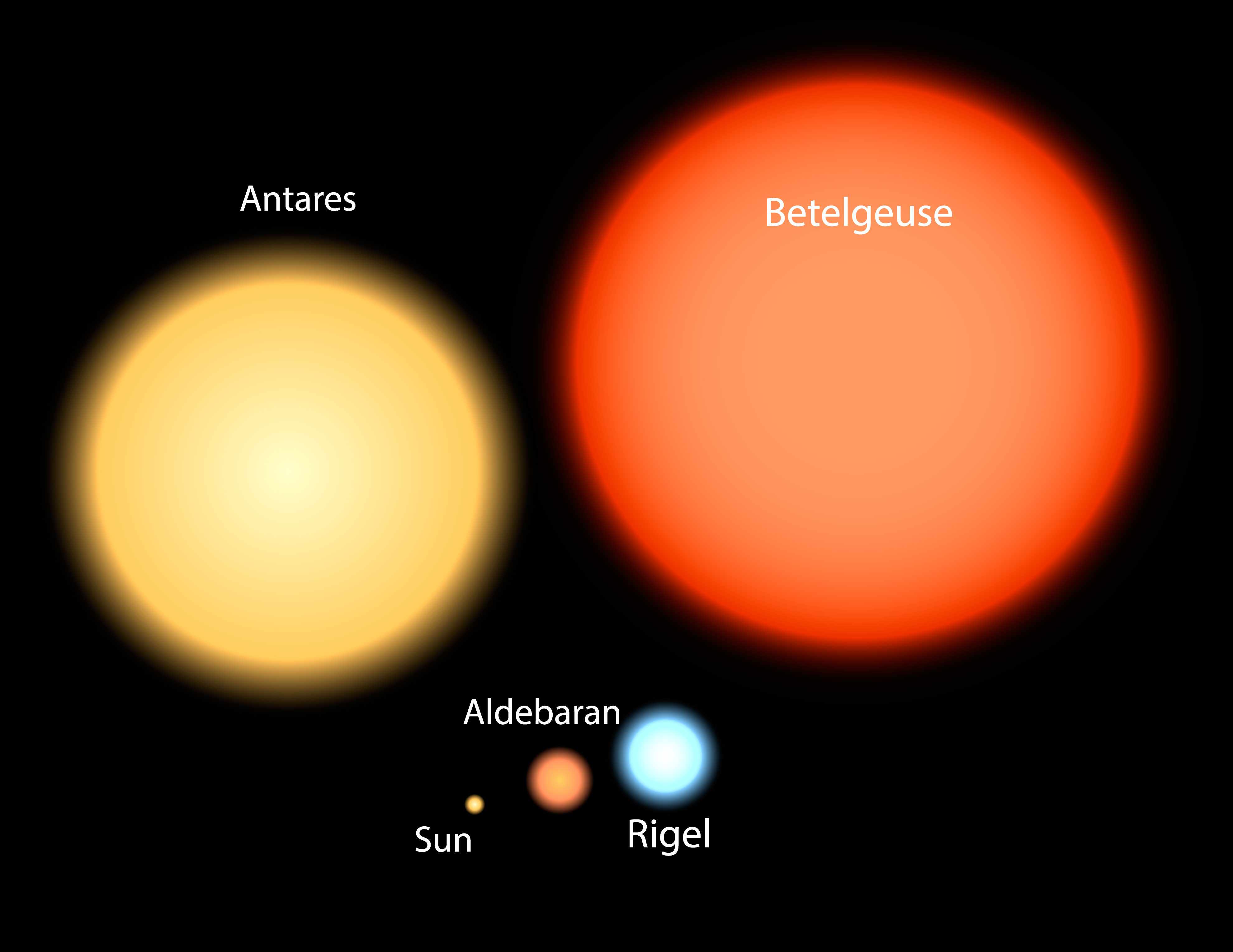 与我们的太阳相比，显示了Betelgeuse大小的图表。