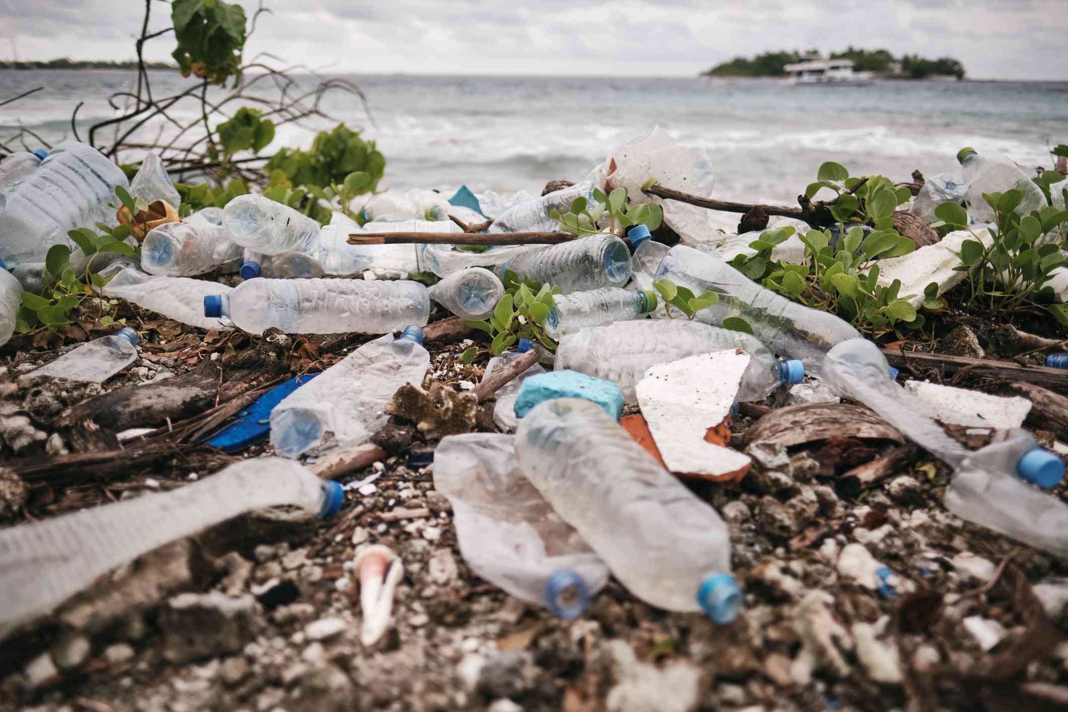 塑料水瓶在海滩上乱扔。