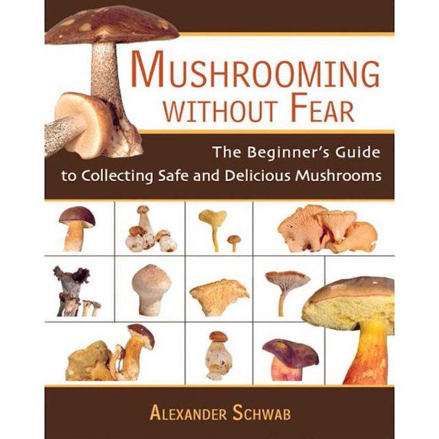 无所畏惧的蘑菇:收集安全美味蘑菇的初学者指南