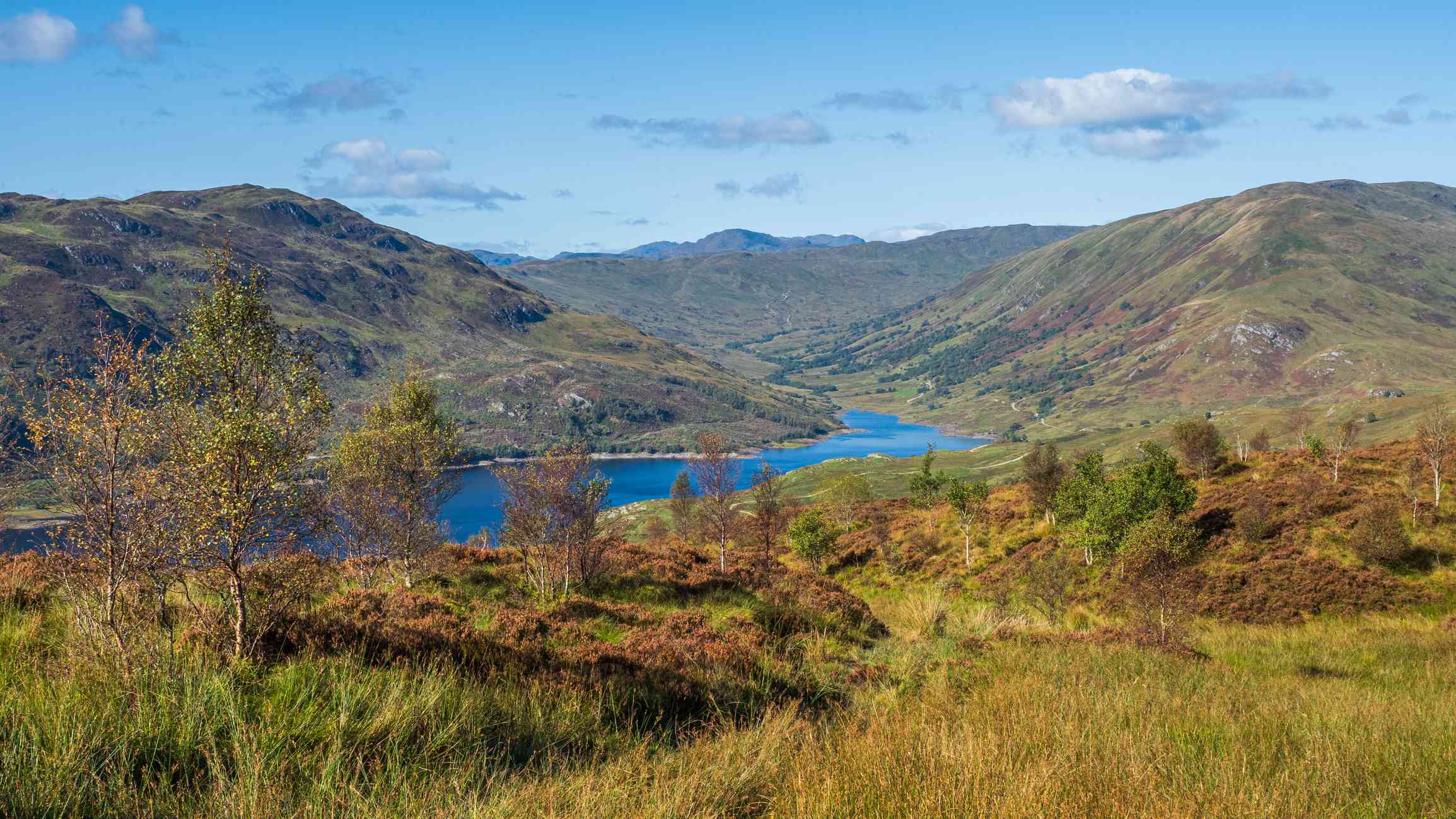 Glen Finglas, the largest ancient woodland in the UK, spans over 12,000 acres in Scotland