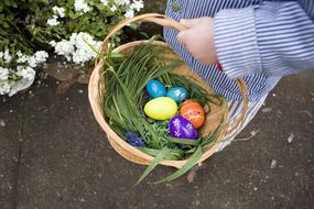 小男孩带着编织的篮子和新鲜的草和鸡蛋去寻找复活节彩蛋