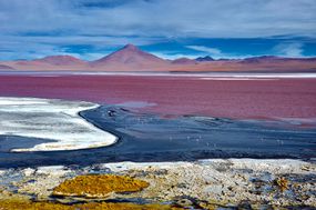 拉古纳Colorada生动颜色的波托西、玻利维亚、是火烈鸟的天堂和游客。