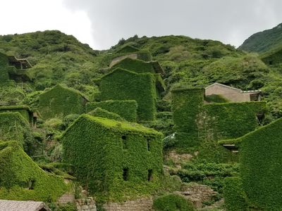 一个村庄长满绿色植物