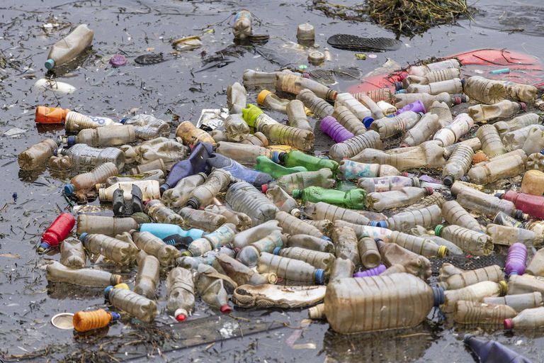 英国卡迪夫- 4月9日:在英国卡迪夫卡迪夫湾附近，一次性塑料瓶漂浮在受污染的水中。