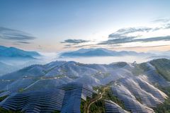 一座宏伟的太阳能发电站建在雾蒙蒙的山顶上