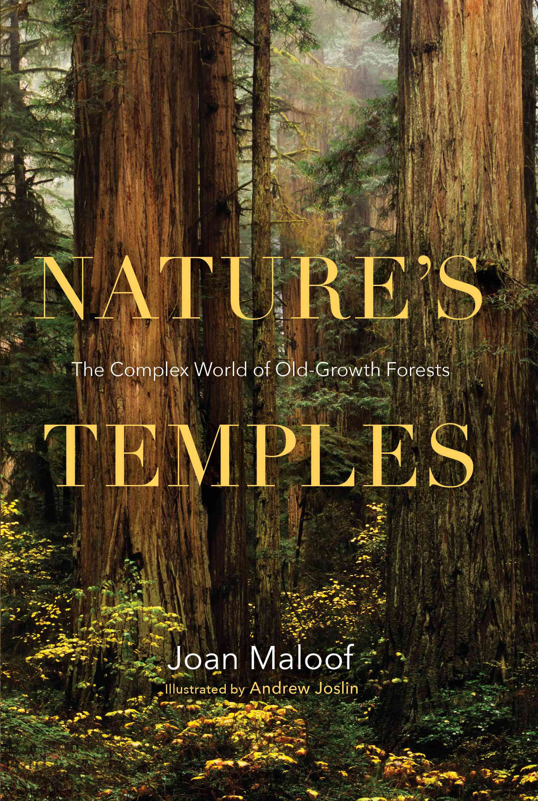 “自然的寺庙”由Joan Maloof书籍封面