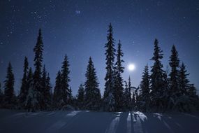 冬季夜空
