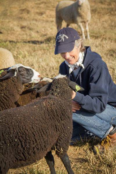 Keli Hendricks正在喂山羊