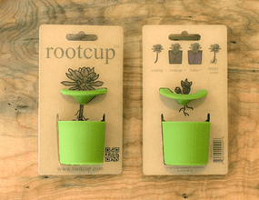 rootcup绿色