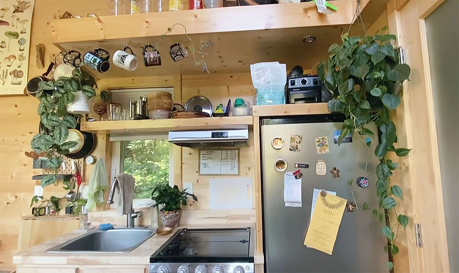 有室内植物厨房的小房子