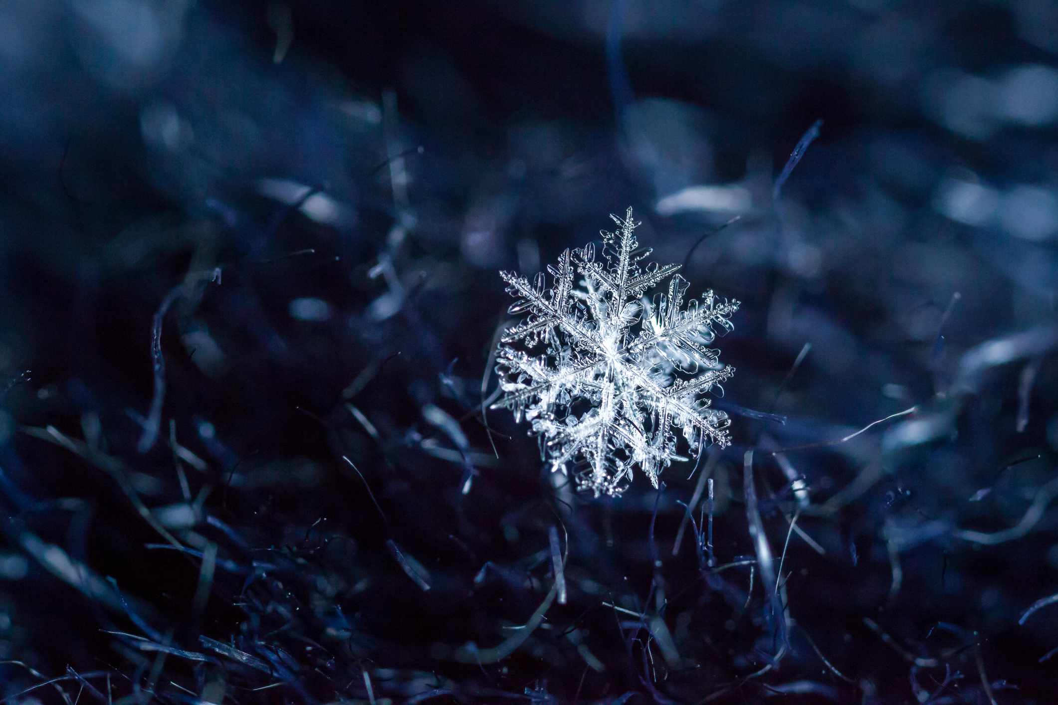 微距拍摄雪花在深蓝色表面＂width=