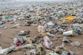 塑料垃圾于2021年1月27日在印度尼西亚巴厘岛的金巴兰（Jimbaran）散落在金巴兰海滩的海滩上。“width=