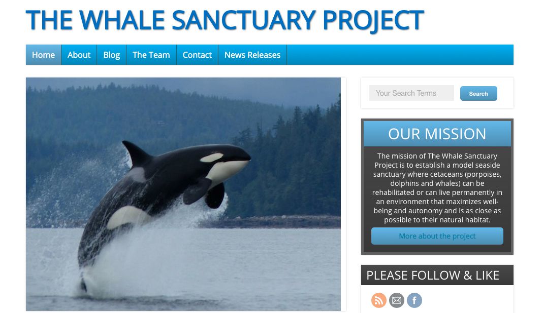 鲸鱼保护项目