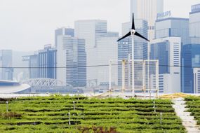 中国香港的可再生能源绿色都市农业