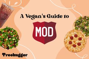 素食指南MOD披萨。披萨、沙拉、饮料等都是素食主义者。
