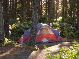 红色和蓝色的大帐篷搭在树木繁茂的树林里，阳光过滤进来