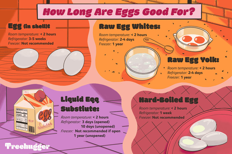 鸡蛋的有效期是多久