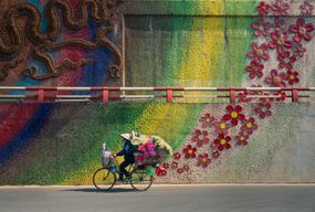 与花壁画的自行车
