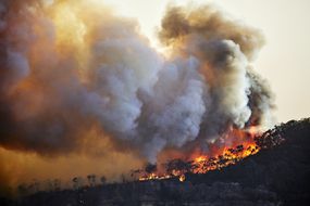 在澳大利亚蓝山卡托姆巴的窄颈高原，火势失控。气候变化导致极端天气、长期干旱和越来越多的森林火灾
