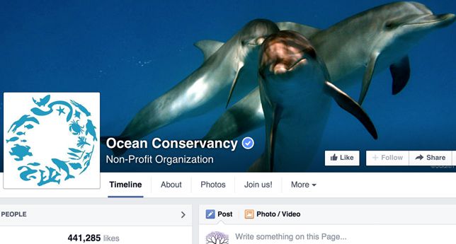 海洋保护协会的脸书