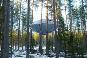 金属树旅馆UFO树屋悬挂在森林的树上