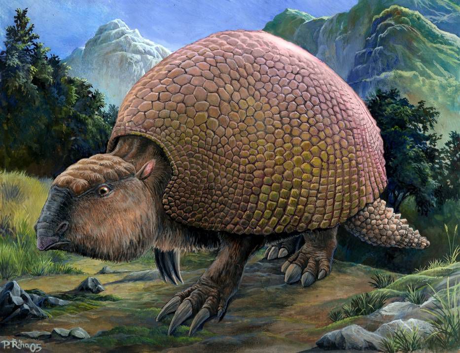 glyptodon绘画