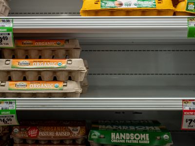 用鸡蛋食品通胀继续增加成本比一年前增加了38%