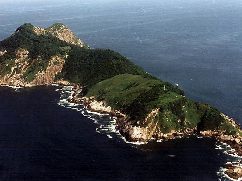 巴西树木覆盖的蛇岛的鸟瞰图