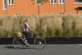 巴伐利亚的电动自行车