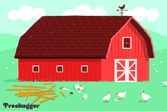 红谷仓的外部，木板，锯子和几只鸡在前面