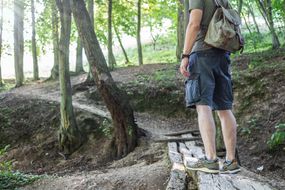 背着背包徒步旅行的人在古老的木头小道上停下来欣赏树木