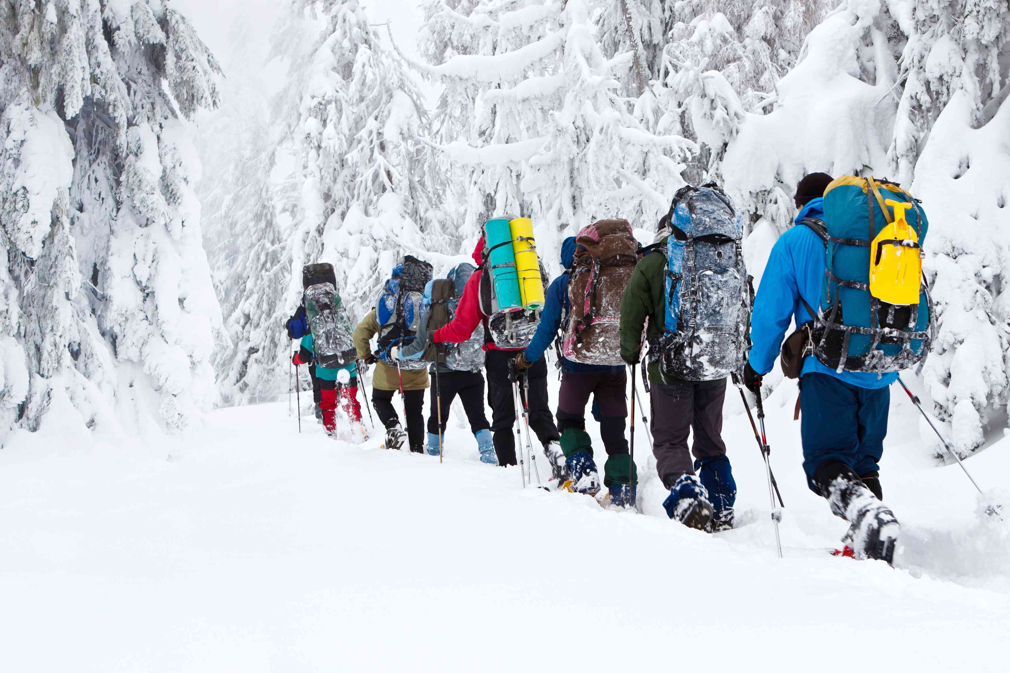 一群背包客在冬天的雪地里徒步旅行