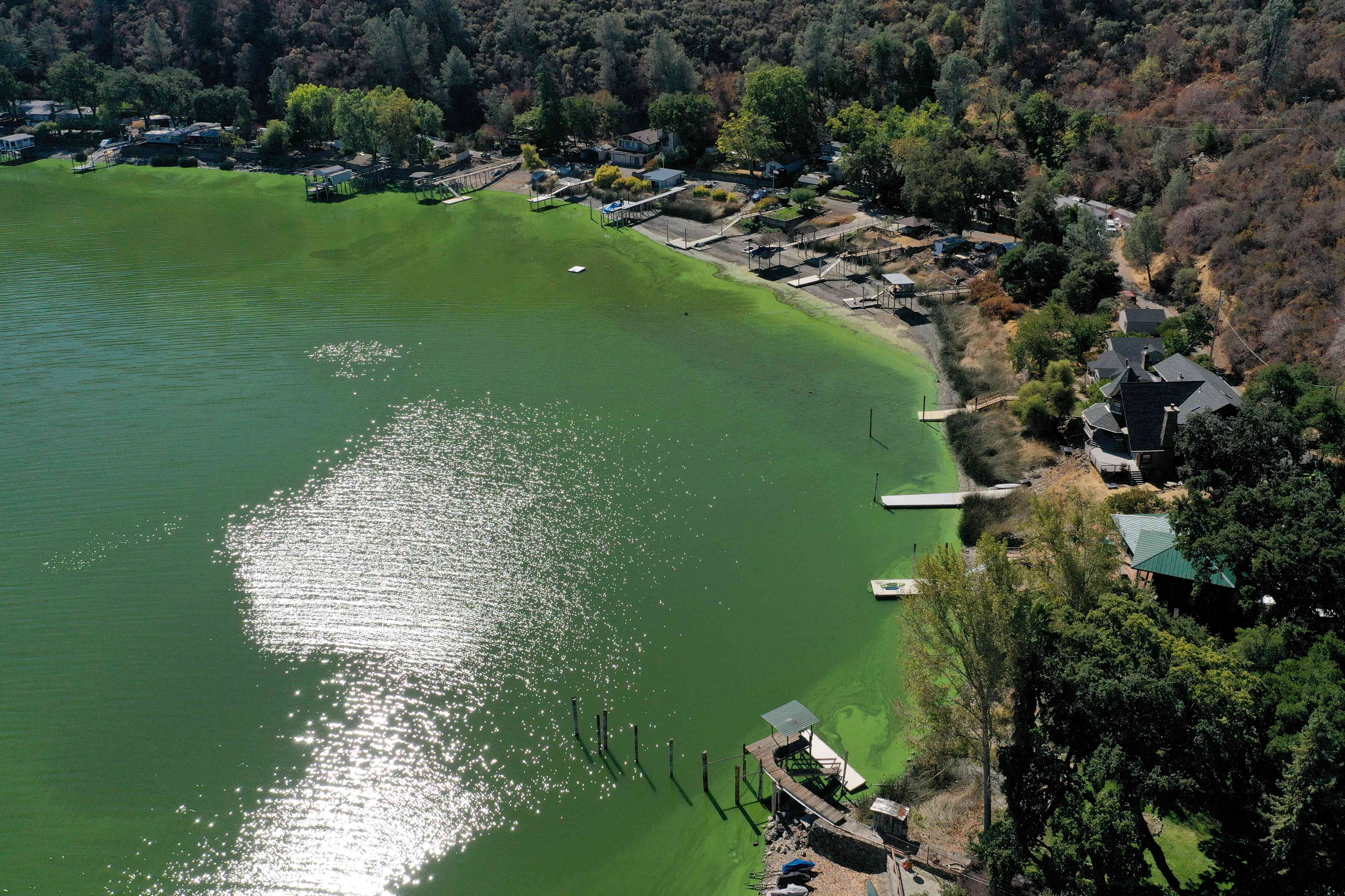 由于干燥炎热的夏季，蓝藻毒素的爆发威胁着加州克利尔湖的供水＂width=