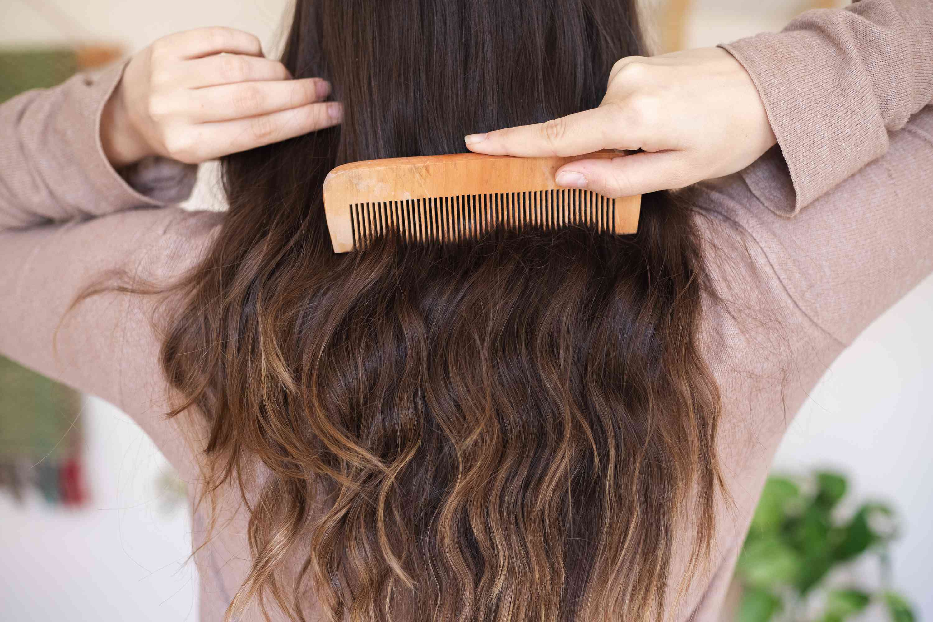 女人的背面长波浪棕色头发运行木梳和坚果油通过它