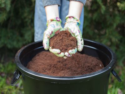 人花园手套带来了一些堆肥土壤堆肥桶