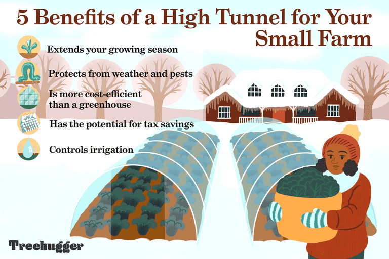 高隧道对小型农场插图的好处