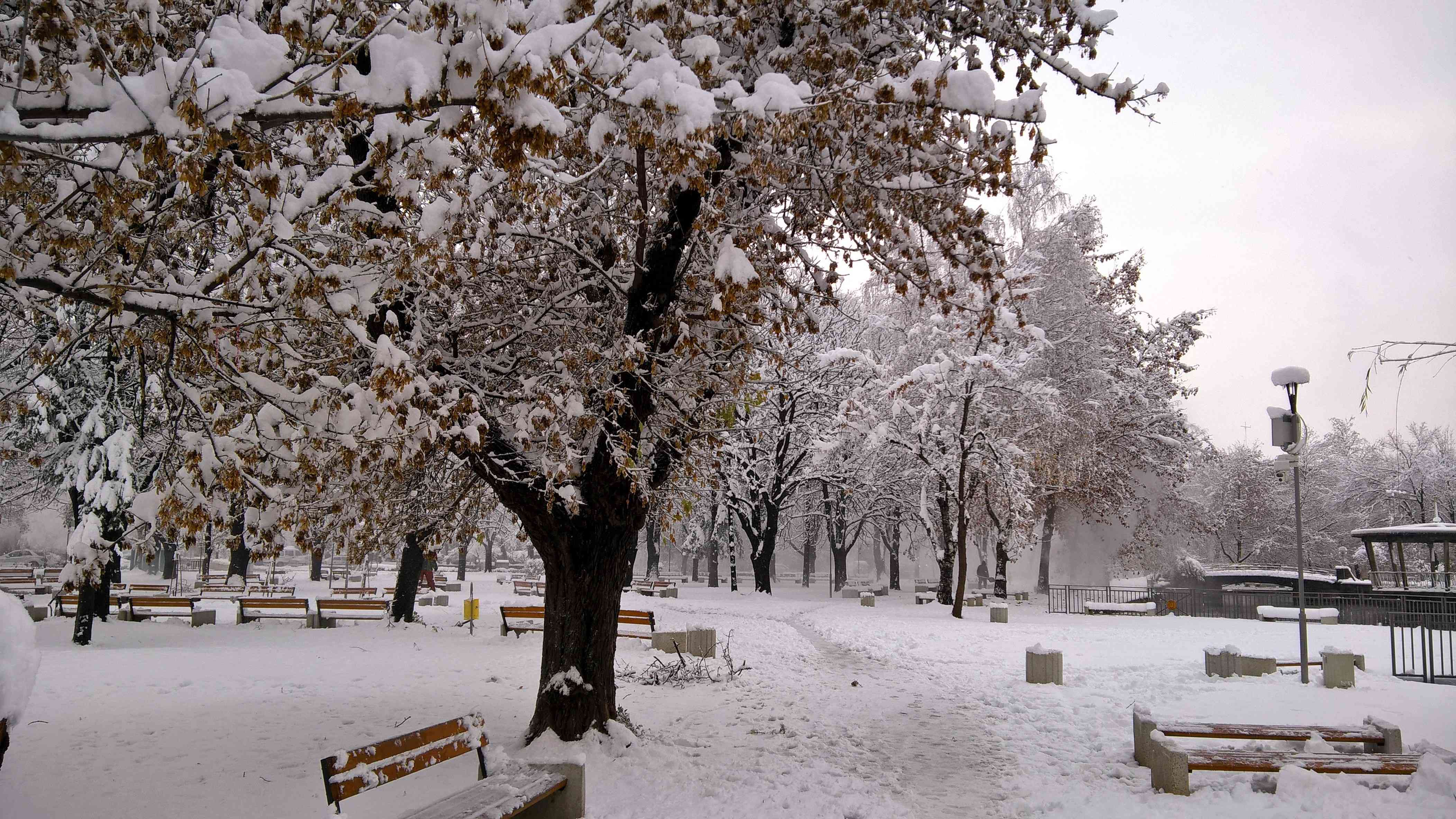 一个冬天的场景是一个公园。