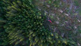 Logging machinery clears trees in a forest