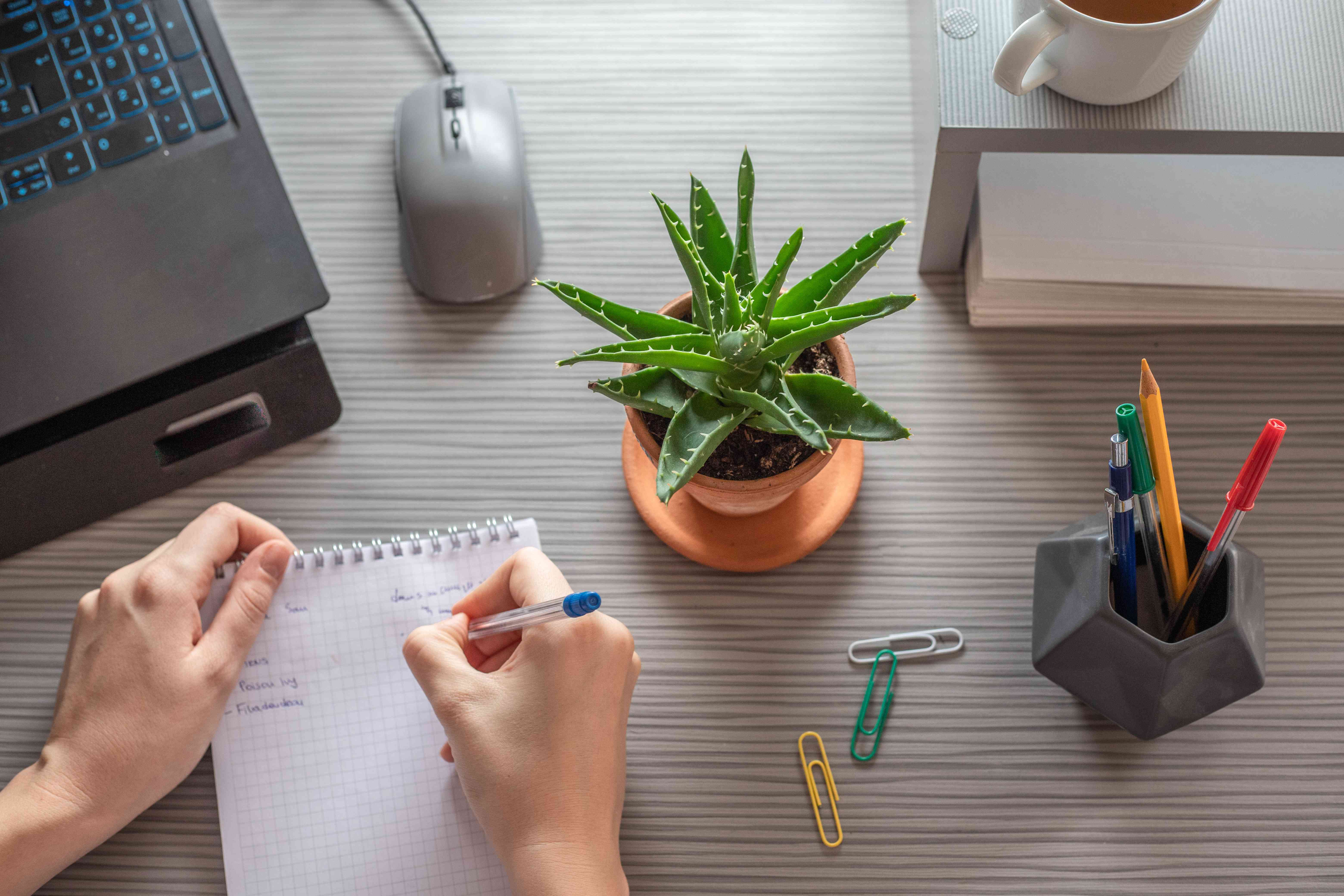在工作台上用迷你芦荟植物在电脑附近写作桌子上写作的人镜头“width=