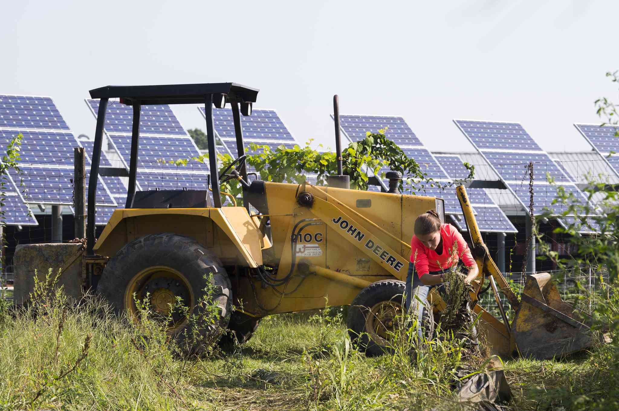 马萨诸塞州agrivoltaic系统在南鹿田马塞诸斯州大学